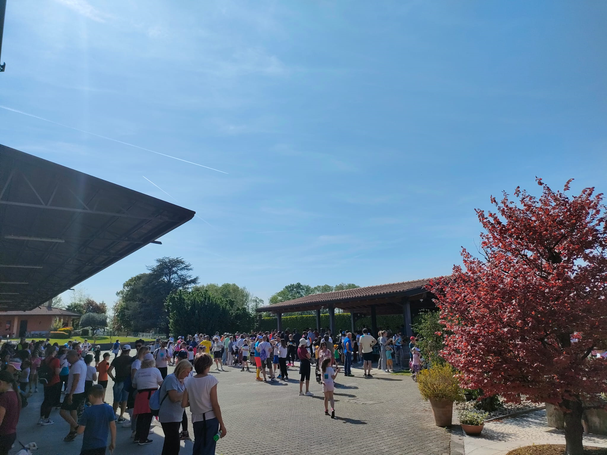 WhatsApp Image 2026-04-22 at 14.06.20