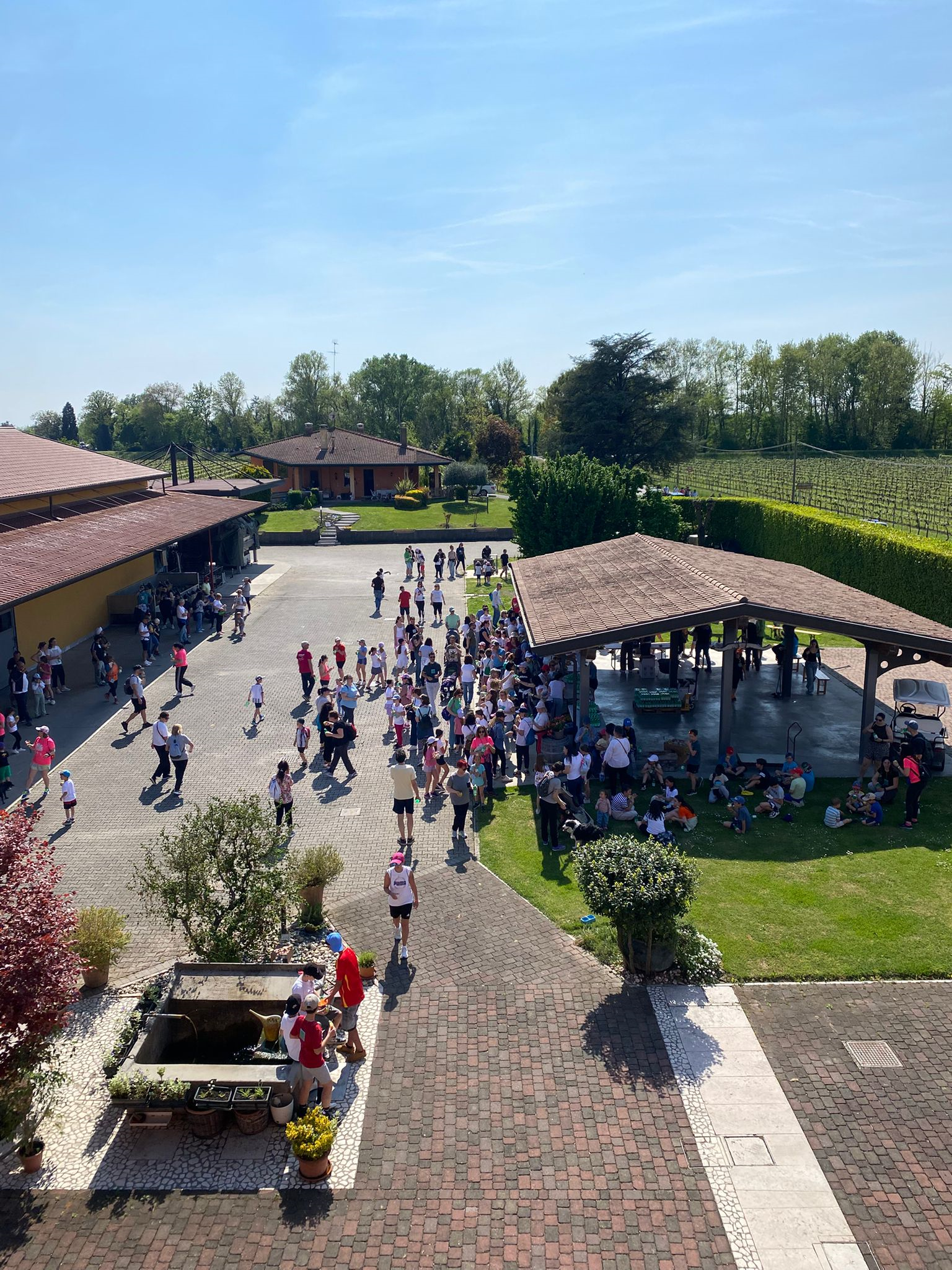 WhatsApp Image 2026-04-22 at 14.06.21