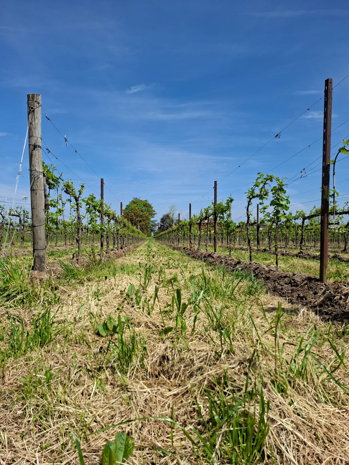 WhatsApp Image 2026-04-22 at 14.06.49 (2)